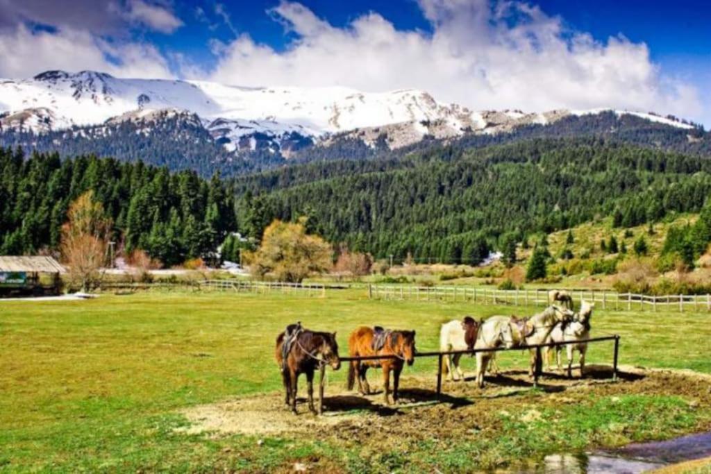 Sweet Home Нераидохори Экстерьер фото